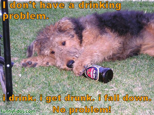 funny-dog-i-dont-have-drinking-problem.jpg