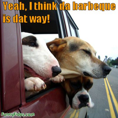 da barbeque is dat way