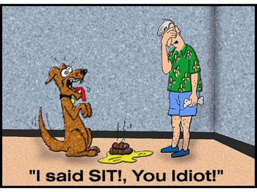 funny dog pictures. funny dog cartoon