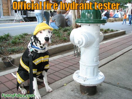 official fire hydrant tester