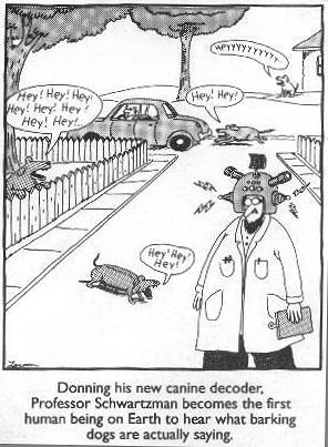 funny dog cartoon