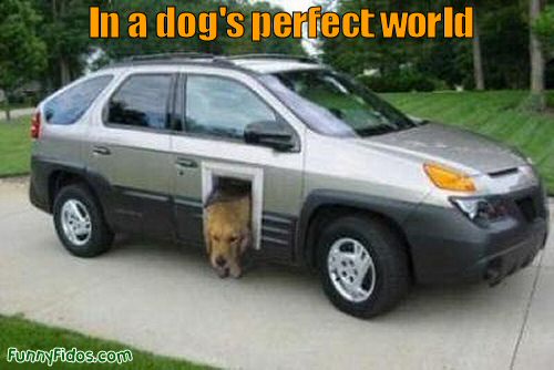 doggie door for a car