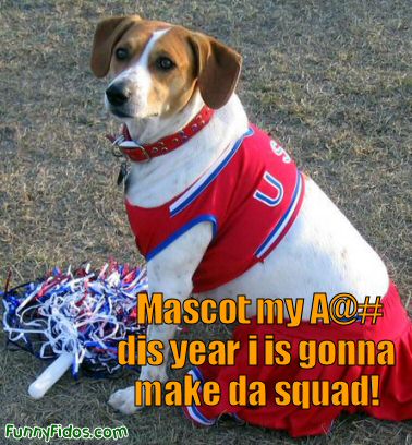 cheerleader dog