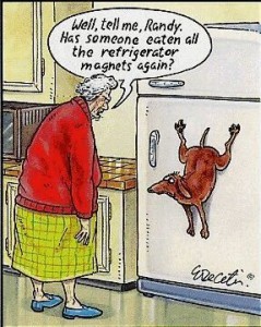 funny-dog-cartoon-dog-magnet-239x300.jpg