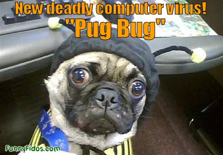 deadly \"Pug Bug\"