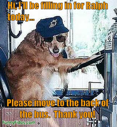 dog driving a bus