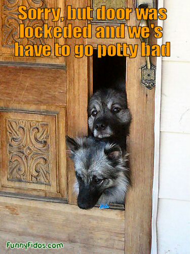 funny picture of two dogs breaking through a door