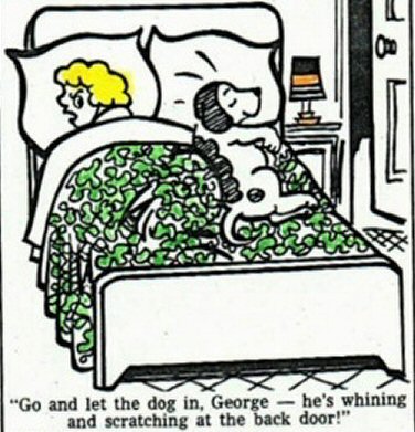 funny-dog-cartoon-let-dog-in