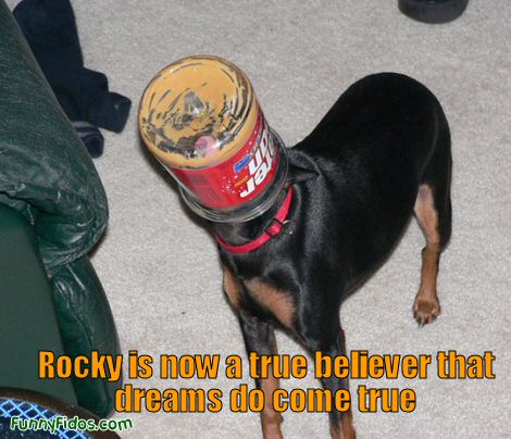 Dog with his head stuck in a peanut butter jar