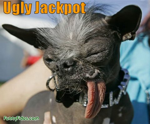 Very ugly dog