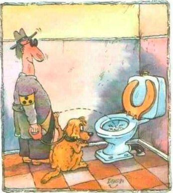 Funny seeing eye dog cartoon