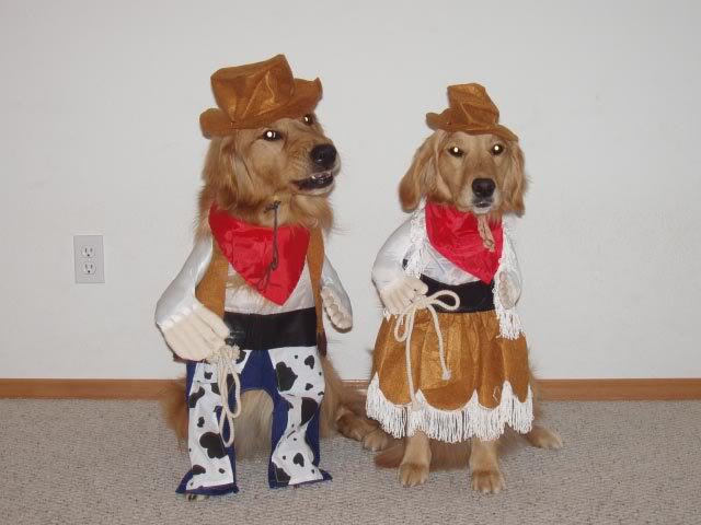 two dogs dressed as cowboys