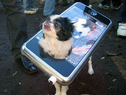 funny dog dressed as an ipod