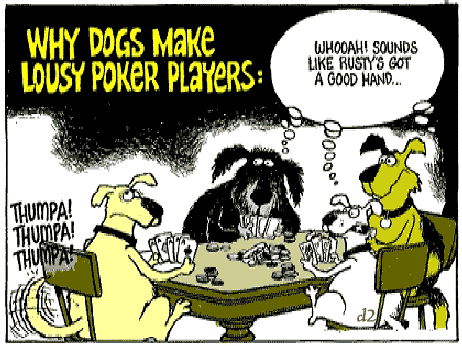 cartoon dog pictures funny. cartoon of dogs playing poker