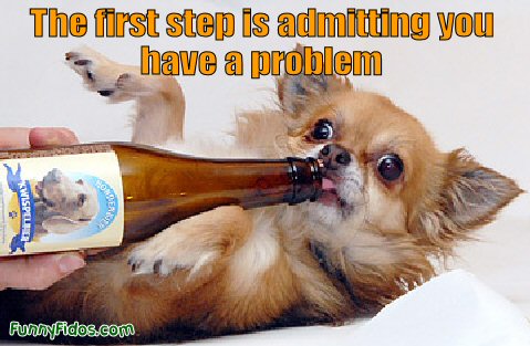 Funny little dog licking a beer bottle
