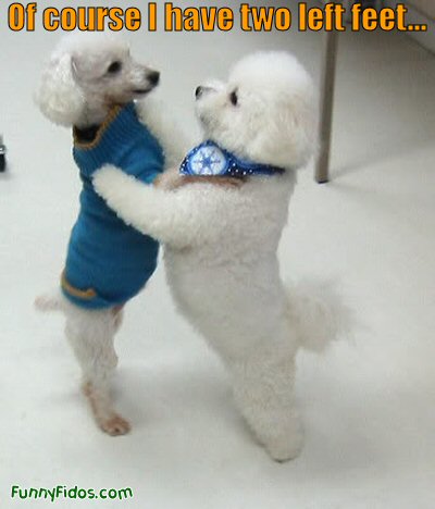 two dogs dancing