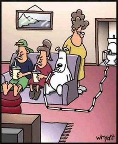 Cartoon of a dog drinking from the toilet using a straw