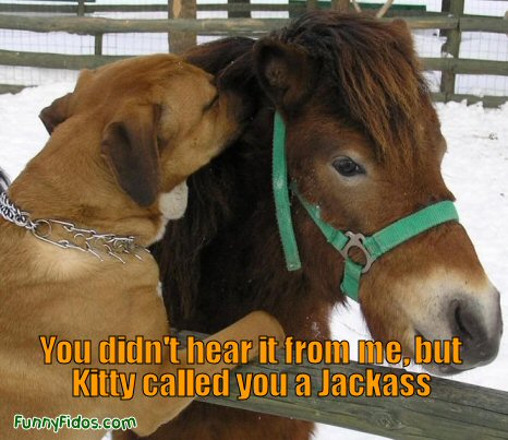 Dog telling a secret to a donkey