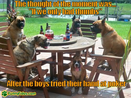 Dogs sitting around a table