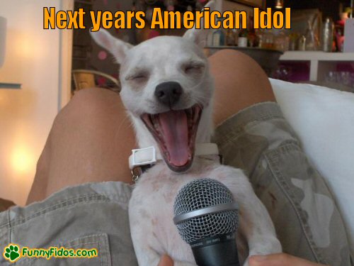 Little dog appears to be singing into a microphone