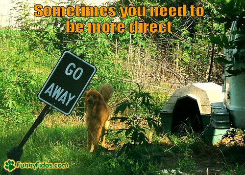funny-dog-picture-sometimes-more-direct