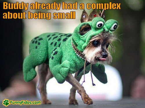 Small dog wearing a green costume