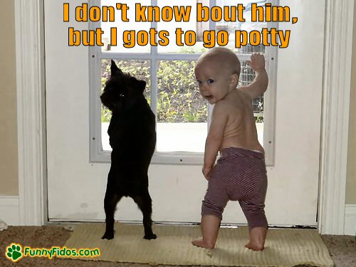 funny-dog-picture-gots-to-go-potty