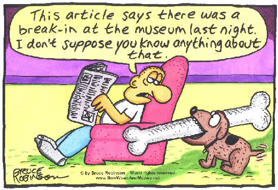 Funny dog cartoon