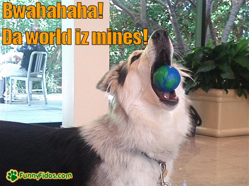 dog chewing a ball that looks like the world