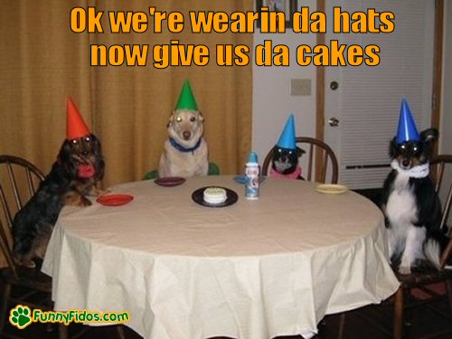 dogs sitting at table wearing birthday hats