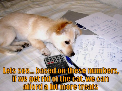 cute dog with calculator