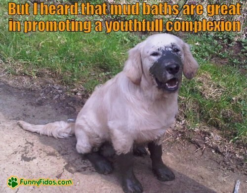 mud dogs muddy mud dogs muddy
