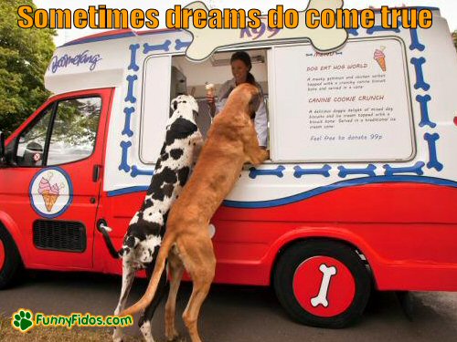 Big dogs at ice cream truck