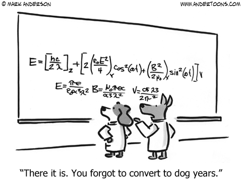 Dogs doing math equation