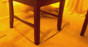 dog chasing his own leash around a chair