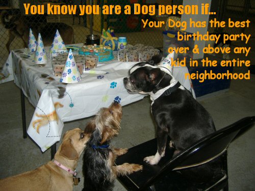 dog having a birthday party