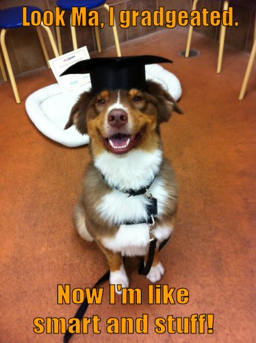 Dog graduated