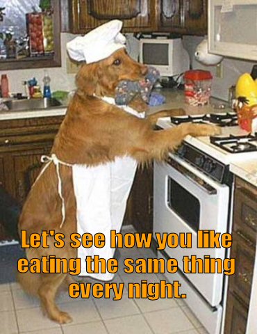 Dog dressed as chef cooking