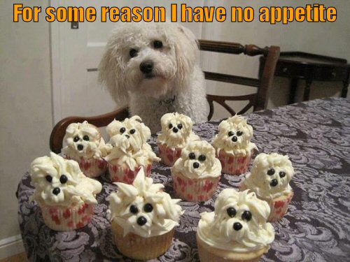 Dog eye balling cupcakes that look like puppies