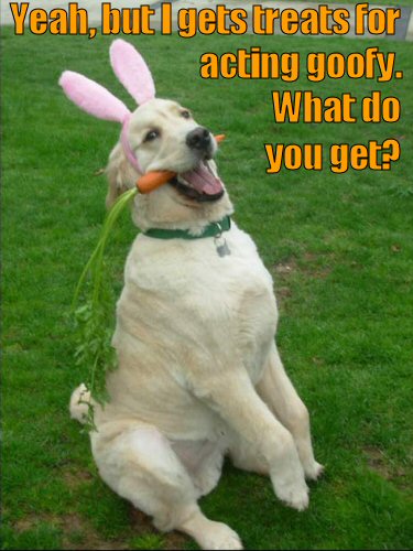 dog with bunny ears and a carrot