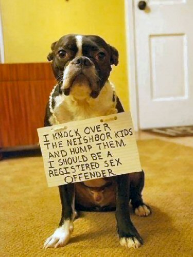 dogshaming-i-hump-neighbors-kids