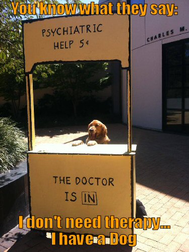 Dog Psychiatrist