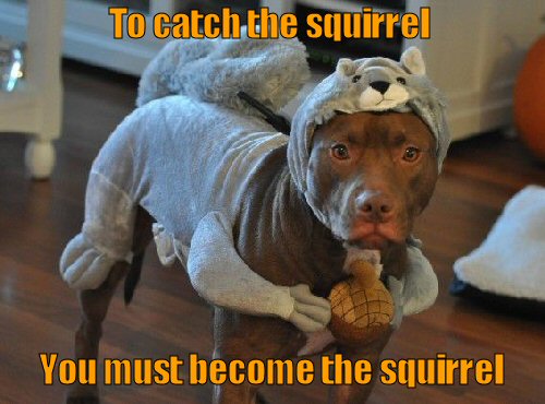 funny-dog-picture-you-must-become-the-sq