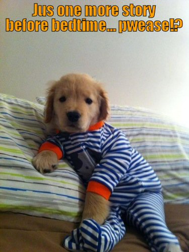 Cute puppy wearing pajamas