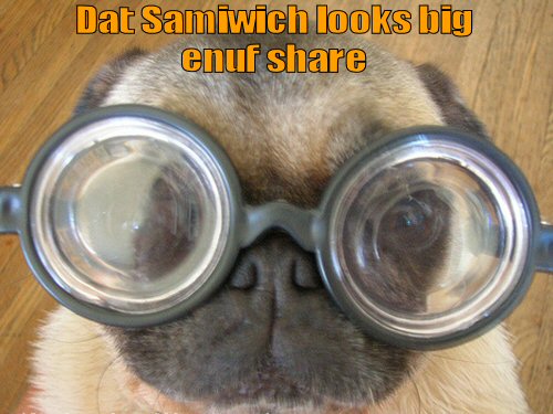 pug with big glasses