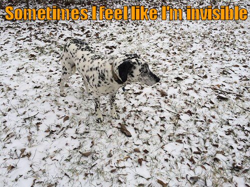 invisible-dog