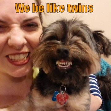 funny-dog-picture-we-be-like-twins