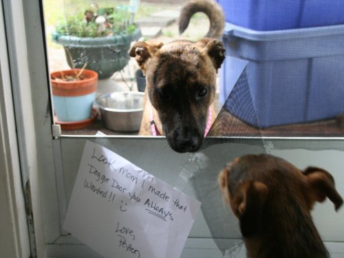 dog poked hole in screen door