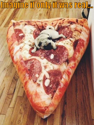 Puh lying on on pizza bed
