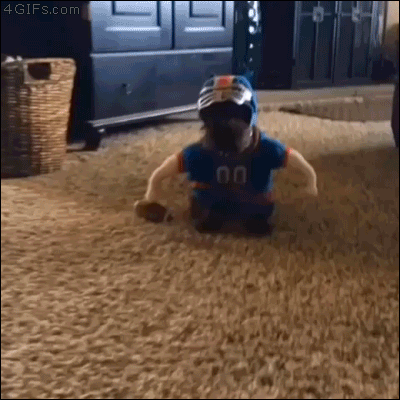 dog-dressed-in-football-outfit